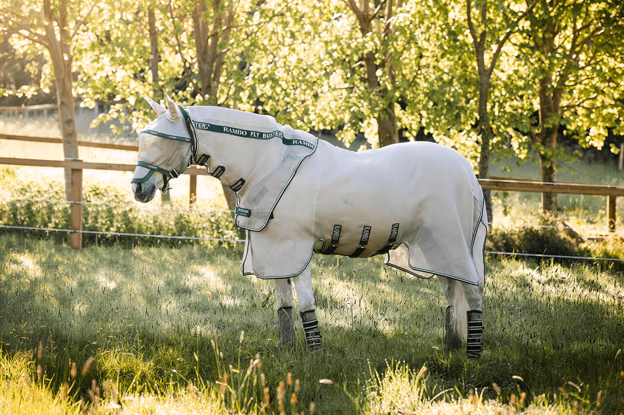 MicrosoftTeams-image-120