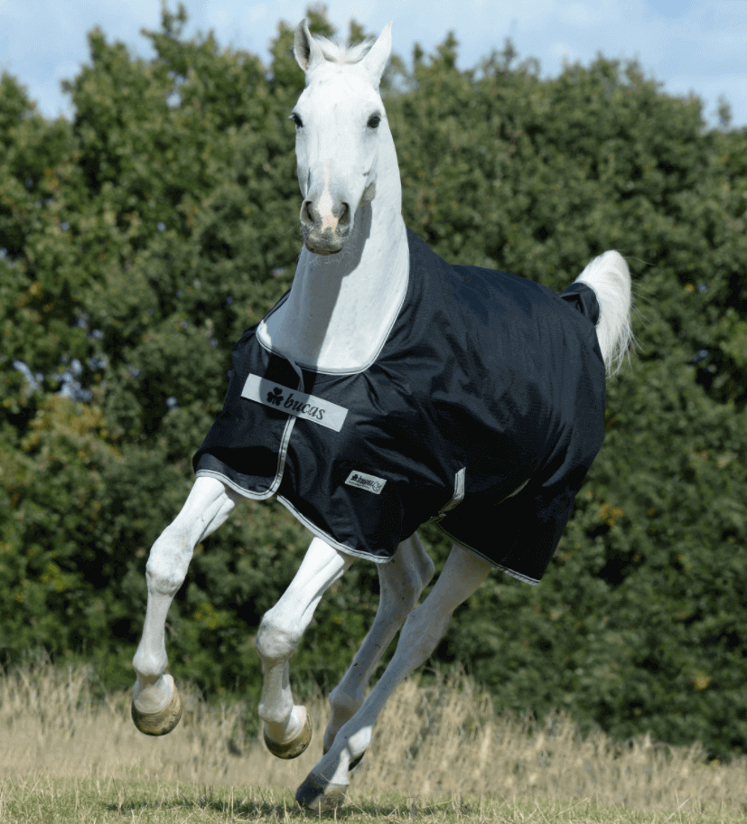 Bucas Outdoordecke 0g Anniversary Turnout Light Regendecke Bucas Outdoordecke 0g Anniversary Turnout Light Regendecke