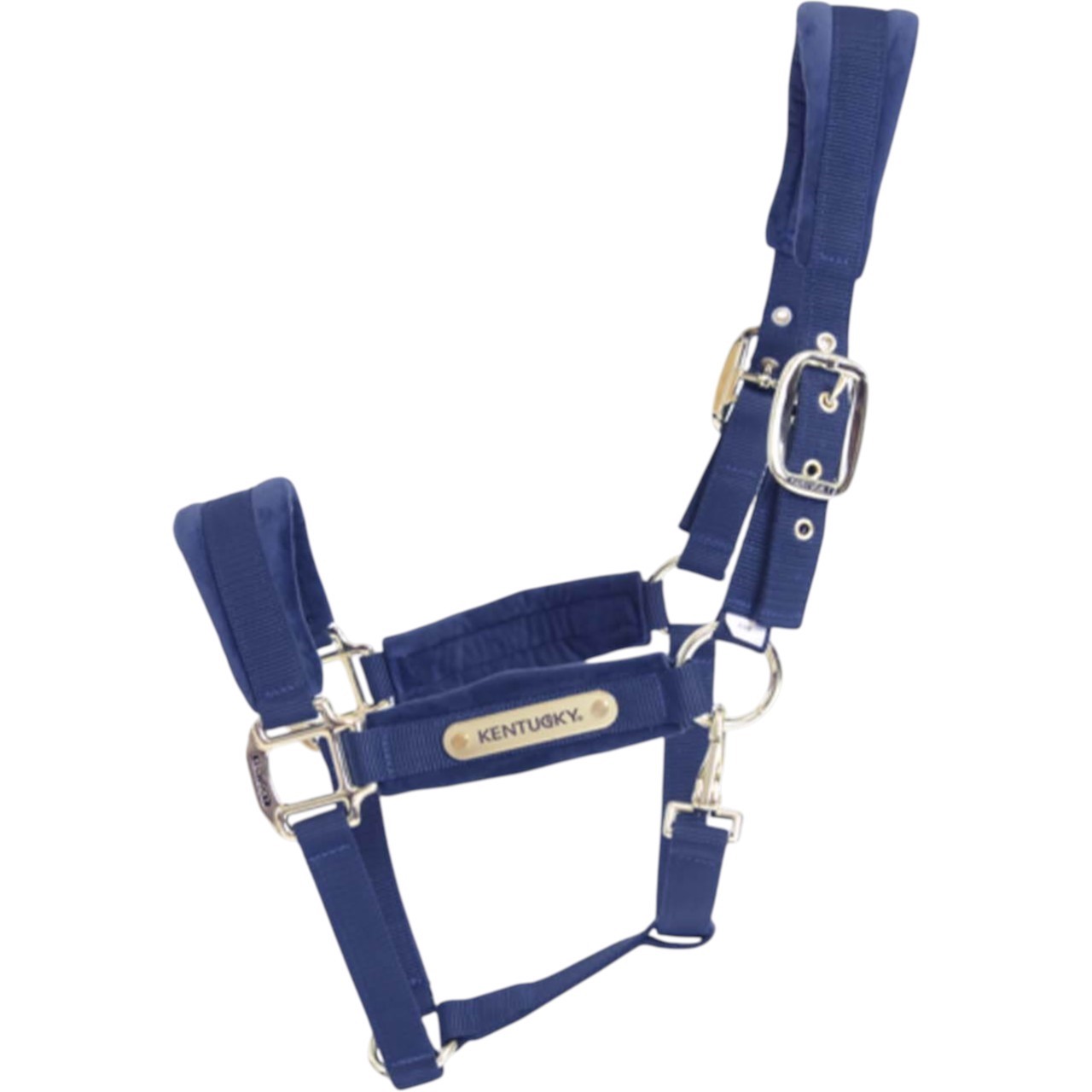 Kentucky Horsewear Halfter Velvet Samthalfter Stallhalfter Kentucky Horsewear Halfter Velvet Samthalfter Stallhalfter