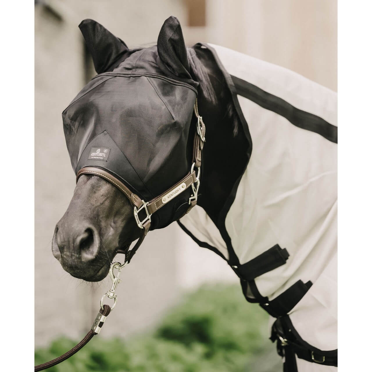 Kentucky Horsewear Fliegenmaske Classic mit Ohren Fliegenschutz Kentucky Horsewear Fliegenmaske Classic mit Ohren Fliegenschutz