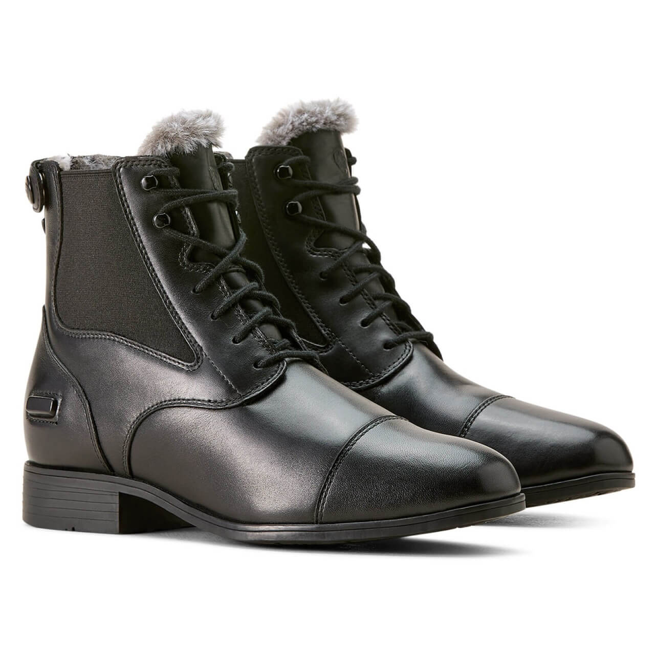 Ariat Stiefeletten WMS Kendall Back Zip Sherpa Paddock Boot Ariat Stiefeletten WMS Kendall Back Zip Sherpa Paddock Boot