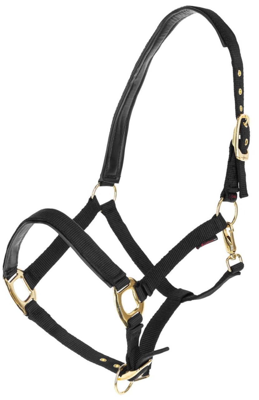Covalliero Halfter TopLine Nylonhalfter Covalliero Halfter TopLine Nylonhalfter