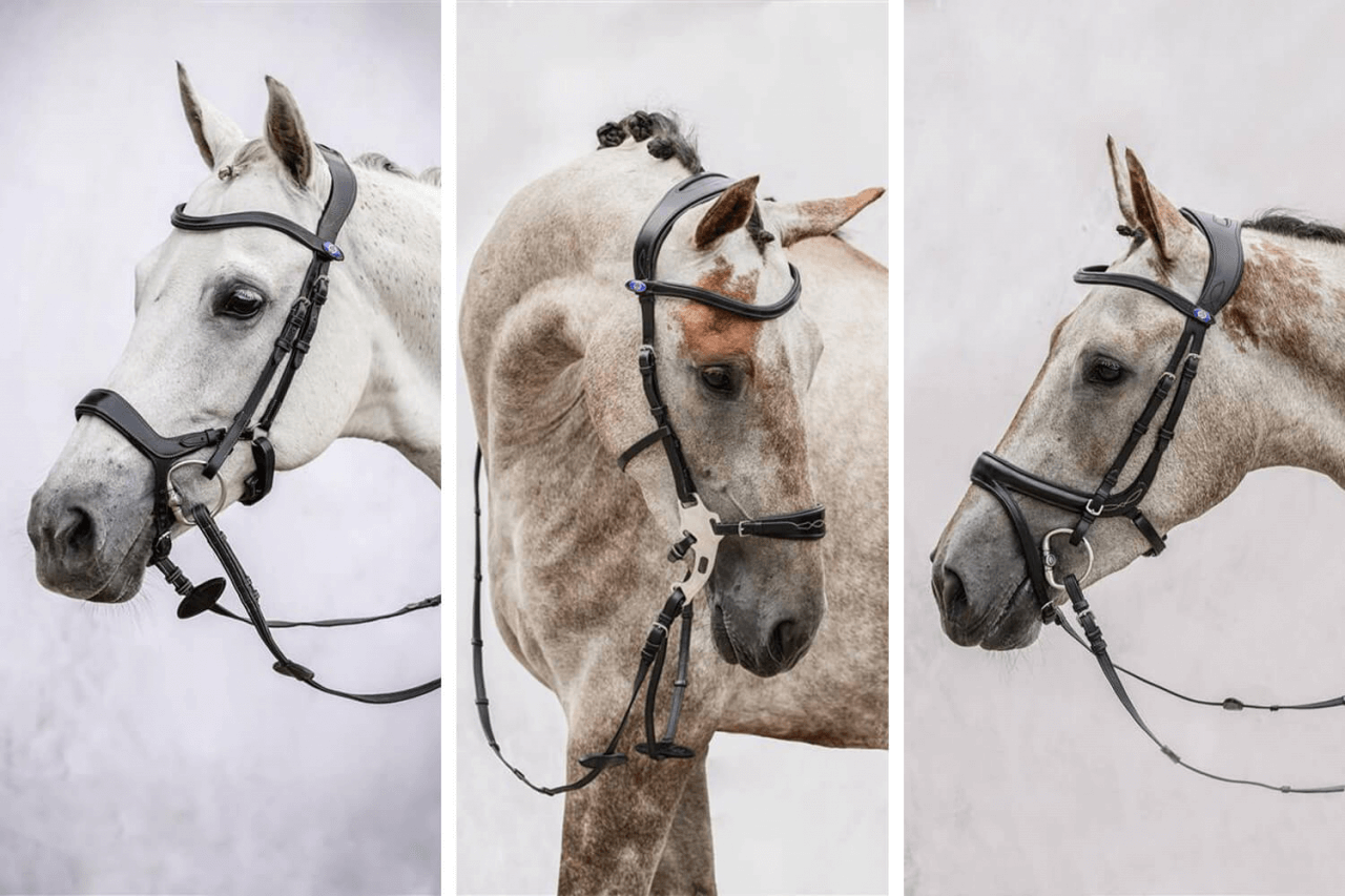 MicrosoftTeams-image-2q24kAWb77Zcp6