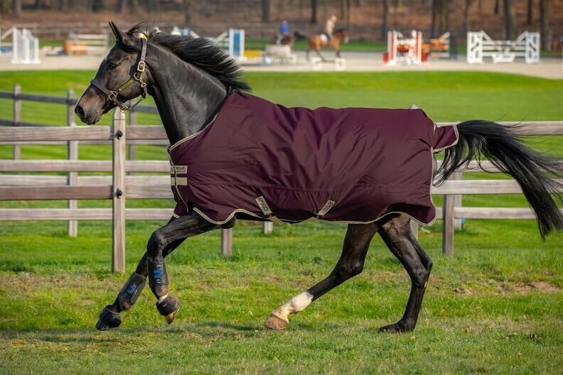 Horseware Ireland Outdoordecke 100g Amigo® Hero Ripstop Weidedecke Horseware Ireland Outdoordecke 100g Amigo® Hero Ripstop Weidedecke