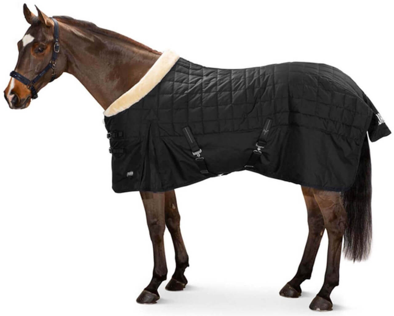 Eskadron Stalldecke 100g Zeta FauxFur Basics Eskadron Stalldecke 100g Zeta FauxFur Basics