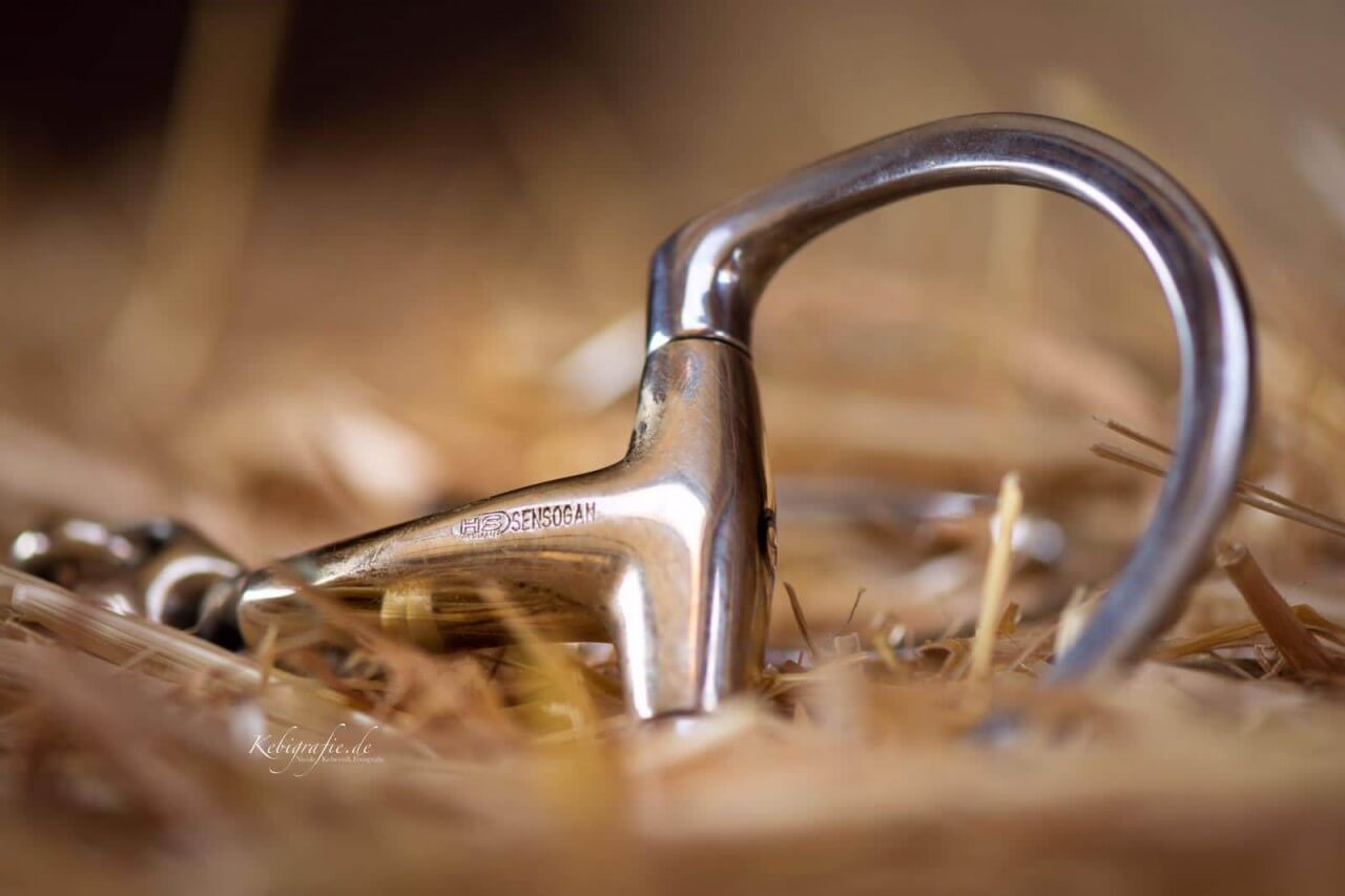 54aee396-c538-419d-8ca0-a7edbcc3c977