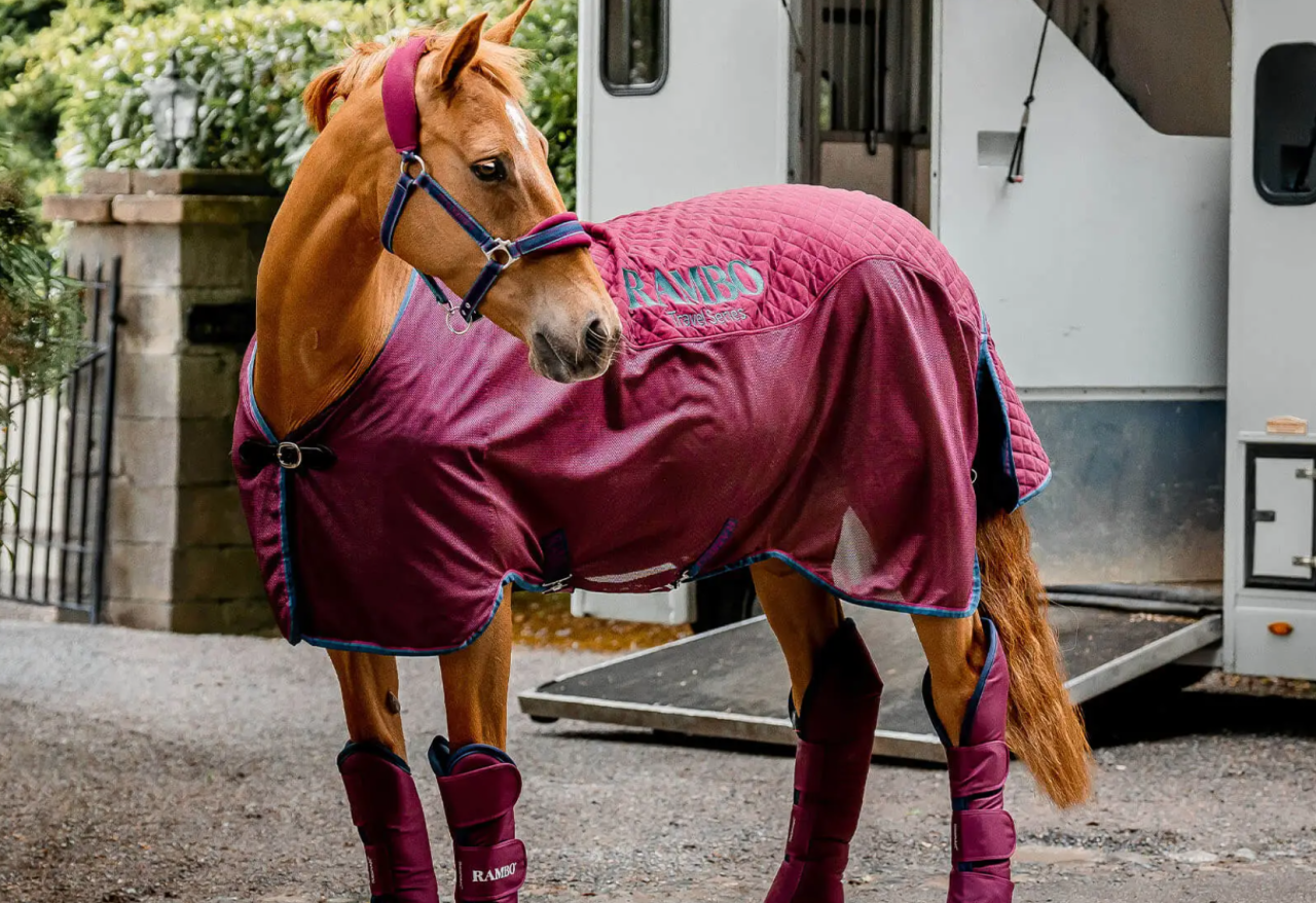 Bildschirmfoto-2025-04-10-um-14-15-43