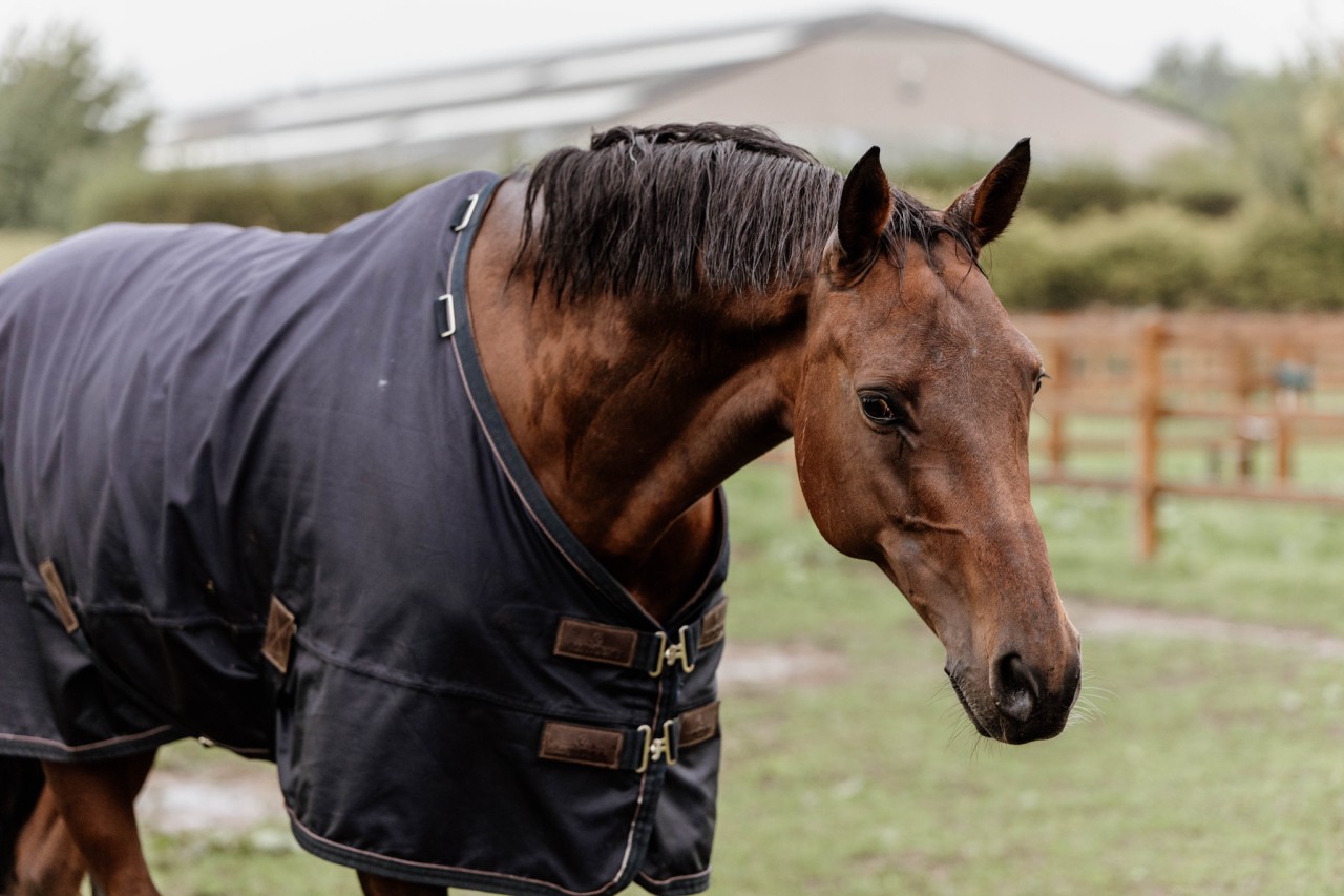 d972bce77396a475cdb07cdf3cf071749d151a8b7e3e51ff450091e109422ab8