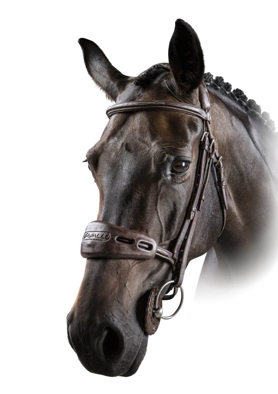 Acavallo Gel- Nasen- und Genickschoner Acavallo Gel- Nasen- und Genickschoner