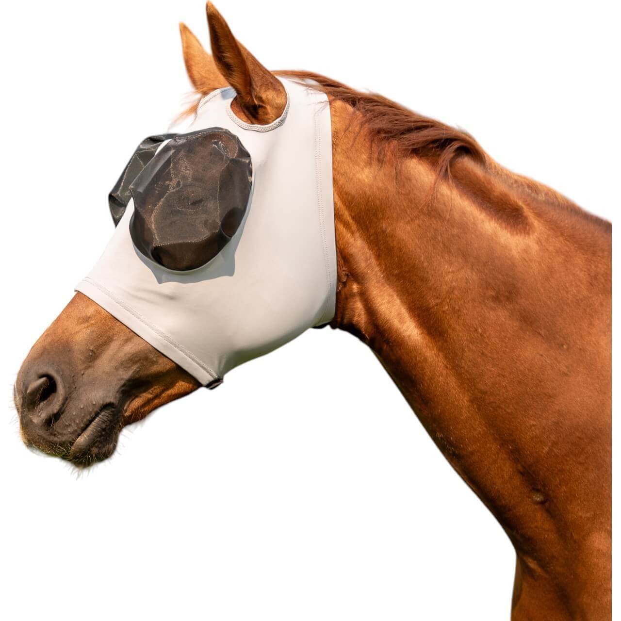 BUSSE Fliegenmaske Twin Fit Flexi 00 Fliegenschutz BUSSE Fliegenmaske Twin Fit Flexi 00 Fliegenschutz